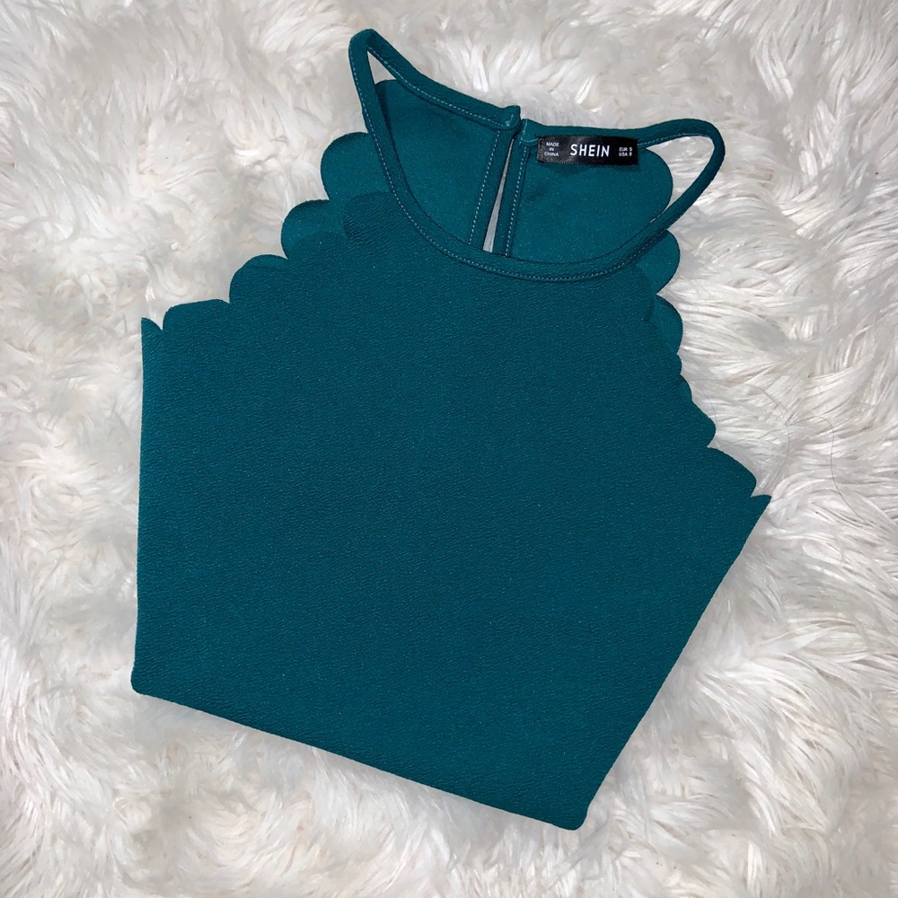 Cropped lettuce cut sea green top